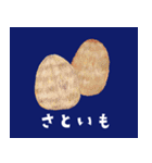坊の八百屋（個別スタンプ：23）