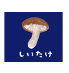 坊の八百屋（個別スタンプ：24）