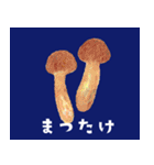 坊の八百屋（個別スタンプ：33）