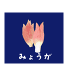 坊の八百屋#02（個別スタンプ：39）
