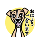【フォーン】1年中使える♡パピーイタグレ（個別スタンプ：1）