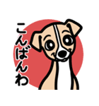 【フォーン】1年中使える♡パピーイタグレ（個別スタンプ：3）