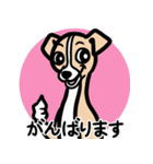【フォーン】1年中使える♡パピーイタグレ（個別スタンプ：11）