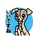 【フォーン】1年中使える♡パピーイタグレ（個別スタンプ：13）