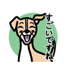 【フォーン】1年中使える♡パピーイタグレ（個別スタンプ：14）