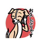 【フォーン】1年中使える♡パピーイタグレ（個別スタンプ：17）