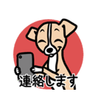 【フォーン】1年中使える♡パピーイタグレ（個別スタンプ：24）