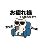 伝えなきゃ猫（エッホエッホ）（個別スタンプ：3）