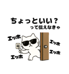 伝えなきゃ猫（エッホエッホ）（個別スタンプ：10）
