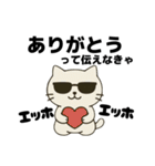伝えなきゃ猫（エッホエッホ）（個別スタンプ：16）
