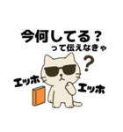 伝えなきゃ猫（エッホエッホ）（個別スタンプ：20）