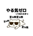 伝えなきゃ猫（エッホエッホ）（個別スタンプ：28）