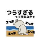伝えなきゃ猫（エッホエッホ）（個別スタンプ：36）
