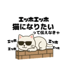 伝えなきゃ猫（エッホエッホ）（個別スタンプ：39）
