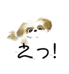 うろ覚えシーズー(文字入りver)（個別スタンプ：2）