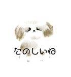 うろ覚えシーズー(文字入りver)（個別スタンプ：8）