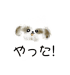 うろ覚えシーズー(文字入りver)（個別スタンプ：9）