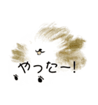うろ覚えシーズー(文字入りver)（個別スタンプ：12）