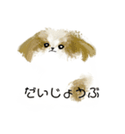 うろ覚えシーズー(文字入りver)（個別スタンプ：14）