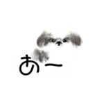 うろ覚えシーズー(文字入りver)（個別スタンプ：15）
