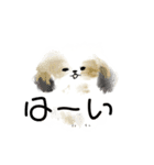 うろ覚えシーズー(文字入りver)（個別スタンプ：18）