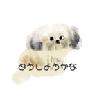 うろ覚えシーズー(文字入りver)（個別スタンプ：20）