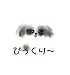 うろ覚えシーズー(文字入りver)（個別スタンプ：23）
