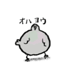 日常会話のハト（個別スタンプ：1）
