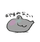 日常会話のハト（個別スタンプ：7）