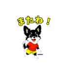 チワワのももちゃんの一言（個別スタンプ：1）