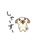 適当挨拶犬（個別スタンプ：1）