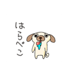 適当挨拶犬（個別スタンプ：13）