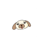 適当挨拶犬（個別スタンプ：34）