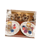 チロル＆チョコ14（個別スタンプ：2）