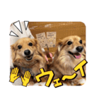 チロル＆チョコ14（個別スタンプ：3）