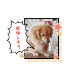 チロル＆チョコ14（個別スタンプ：19）