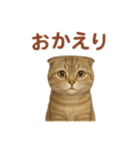 スコティッシュフォールドの楽しい日常（個別スタンプ：6）