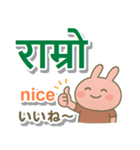 ネパール語＋英語＋日本語 ピンクのウサギ（個別スタンプ：4）