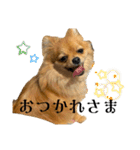 ここあ＆ここあ（個別スタンプ：2）