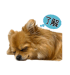 ここあ＆ここあ（個別スタンプ：3）