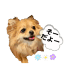 ここあ＆ここあ（個別スタンプ：8）