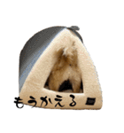ここあ＆ここあ（個別スタンプ：9）