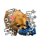 ここあ＆ここあ（個別スタンプ：32）