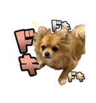 ここあ＆ここあ（個別スタンプ：40）
