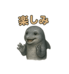 リアルなイルカのスタンプ（個別スタンプ：4）
