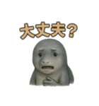 リアルなイルカのスタンプ（個別スタンプ：9）