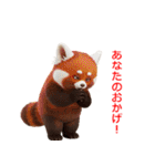 気まぐれアニマル表情集（個別スタンプ：32）