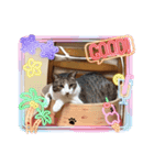そうすぅ（個別スタンプ：1）