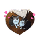そうすぅ（個別スタンプ：3）