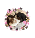 そうすぅ（個別スタンプ：5）